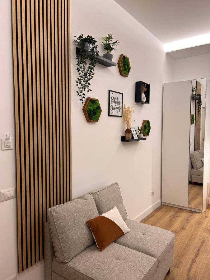Siri Vatican Loft - Design House ローマ エクステリア 写真
